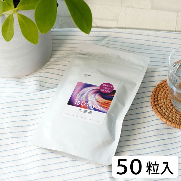 千坂式 太蔘陽（たいじんよう）（12.5g（250mg×50粒））【食健】【送料無料】【クーポン券使用不可】