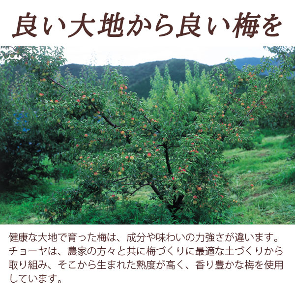 良い大地から良い梅を―健康な大地で育った梅は、成分や味わいの力強さが違います。