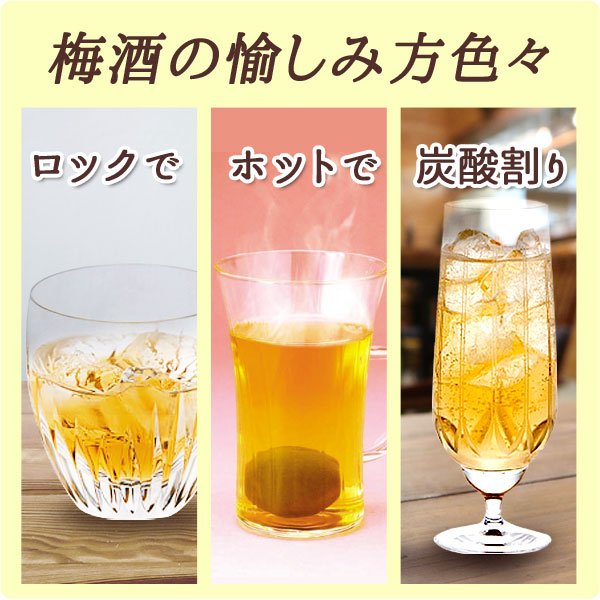 梅酒の愉しみ方色々!ロックで、ホットで、炭酸割りでも♪