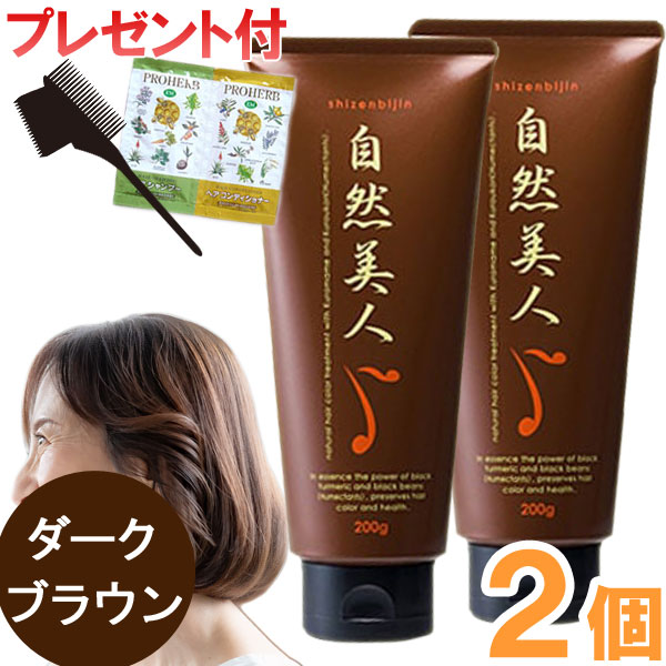 自然美人 ブラック（200g）【2個セット】【アップワード】白髪隠し