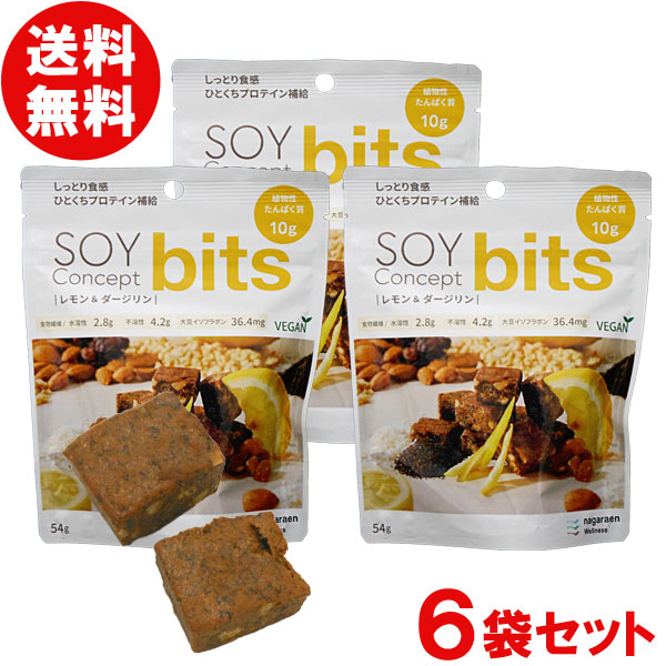 SOY Concept bits（ソイコンセプトビッツ）プロテイン（レモン＆ダージリン（6袋セット））【長良園】【メール便送料無料の場合代引・同梱不可】