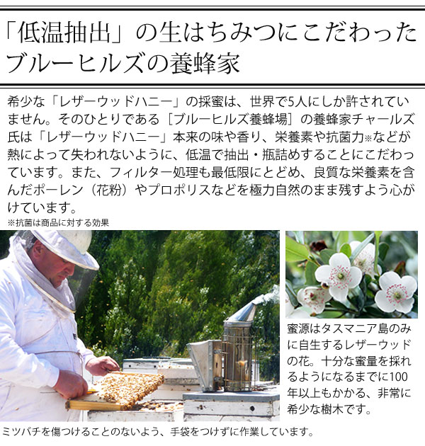 低温抽出の生はちみつにこだわったフルーヒルズの養蜂家