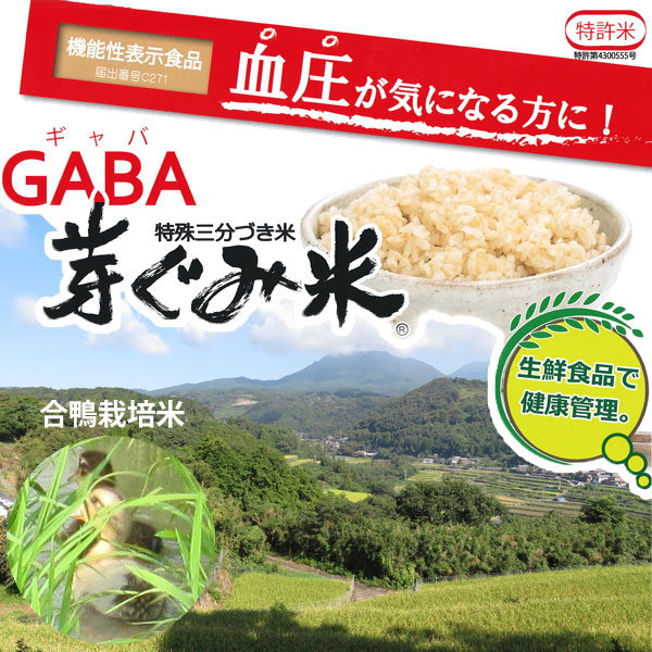血圧が気になる方に!芽ぐみ米