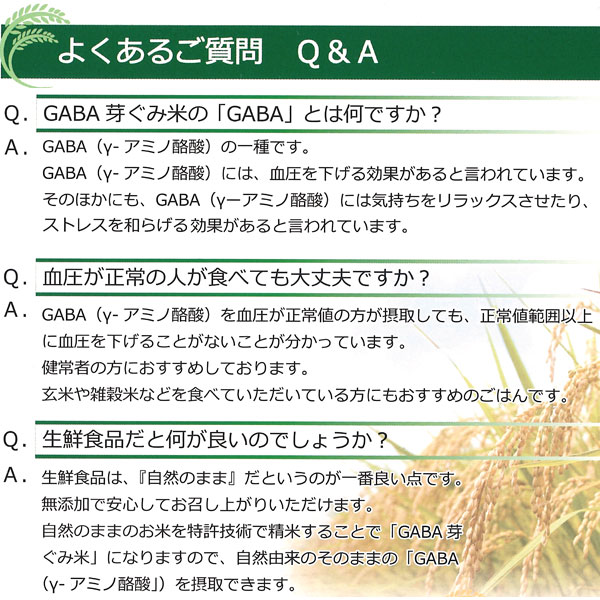GABAとは?