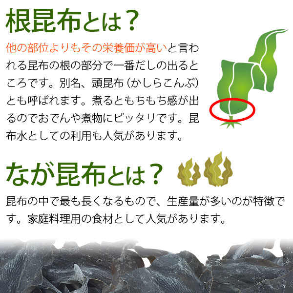 根昆布とは他の部位よりもその栄養価が高いといわれる昆布の根の部分でいちばんだしが出るところです。別名、頭昆布（かしらこんぶ）ともよばれます。長昆布とは昆布の中で最も長くなるもので、生産量が多いのが特徴です。