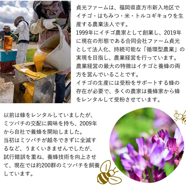 ぷぅ太さん専用国産百花蜂蜜2400g×2