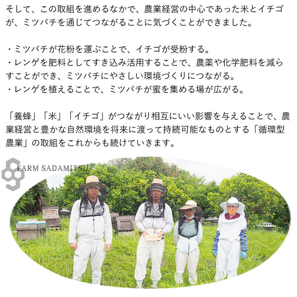ファーム貞光