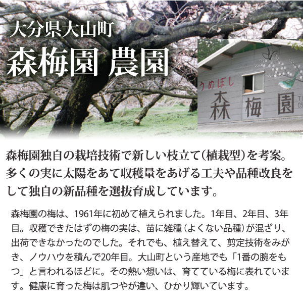 専用出品　ローズ様　完熟南高3L2L6kg 紫の梅M2Kg 紫宝梅 ミスなでしこ® | プレミア和歌山