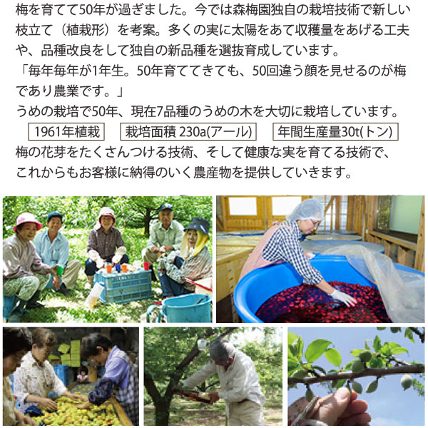 大分県大山町森梅園農園のこれから