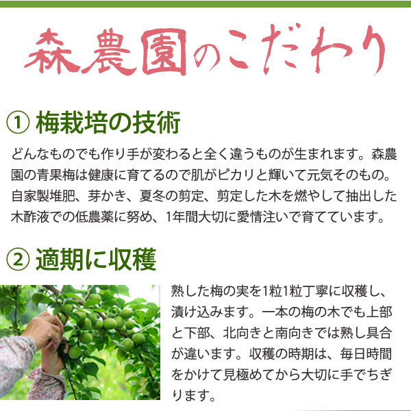 大分県産 南高梅の梅肉