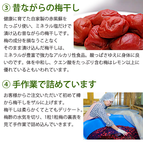 chocotan ☘ 発送 2,4,6さん専用(南高梅) みなべの南高梅 完熟梅 B級品(傷あり) 3~4L 1㎏|viva Salute