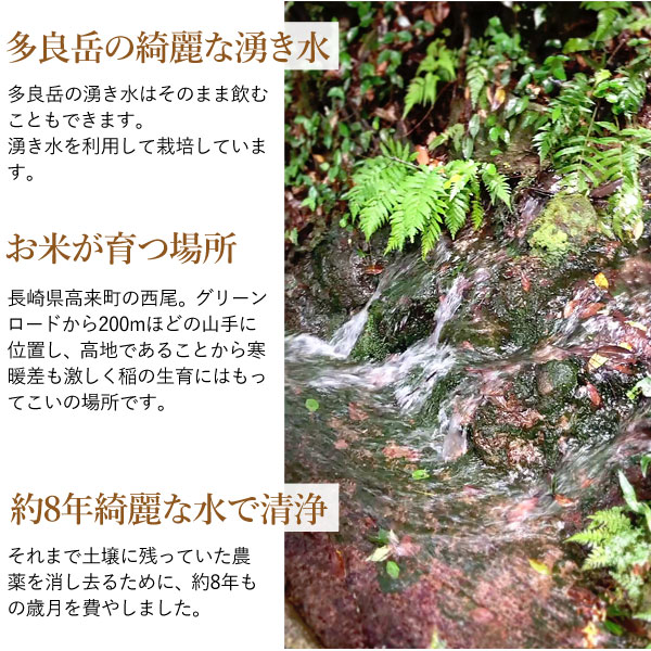 長崎県産 無農薬 特別栽培米 ひのひかり