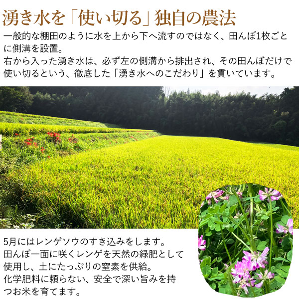 長崎県産 無農薬 特別栽培米 ひのひかり