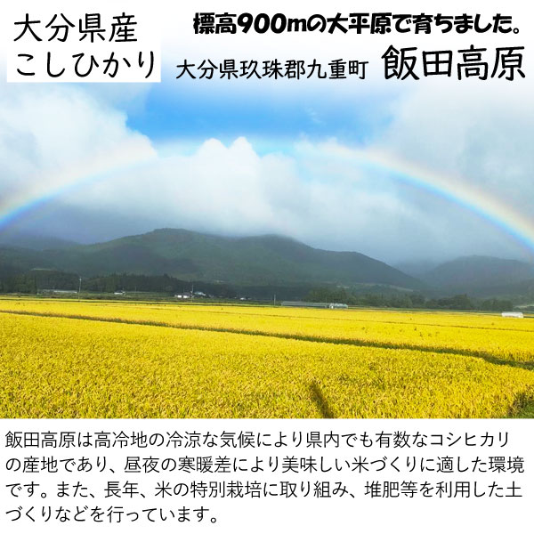 くじゅう連山で育ったお米