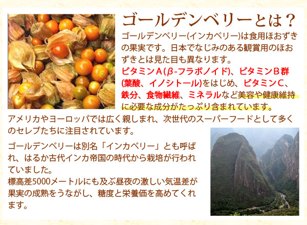 ゴールデンベリー インカベリーとは?