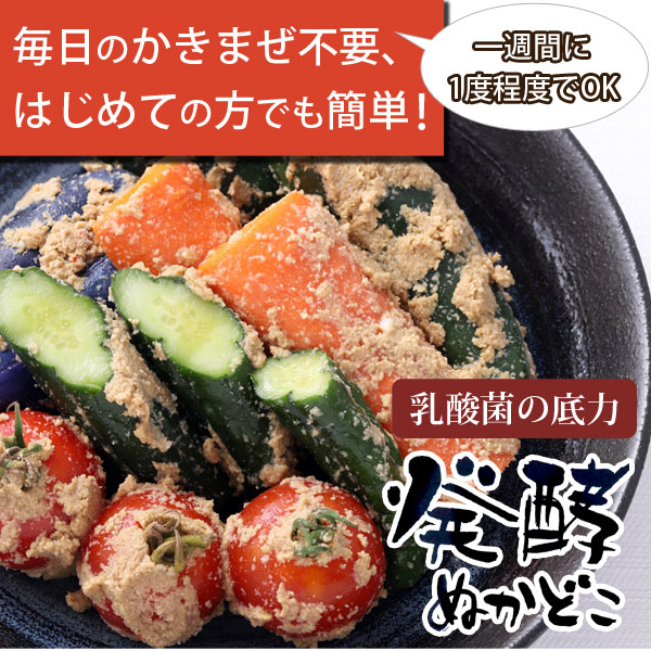 発酵ぬかどこミニ