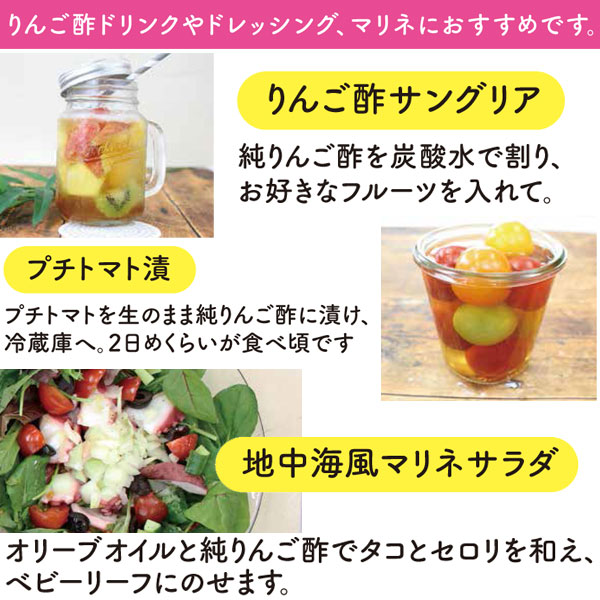 国産純りんご酢（500ml）ビン【内堀醸造】