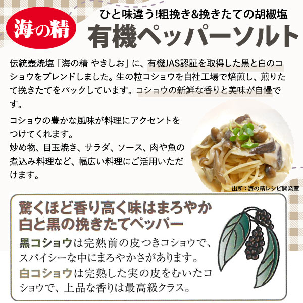 ペッパーソルト・詰め替え用（55g）【海の精】
