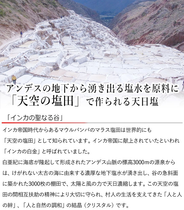 インカ天日塩
