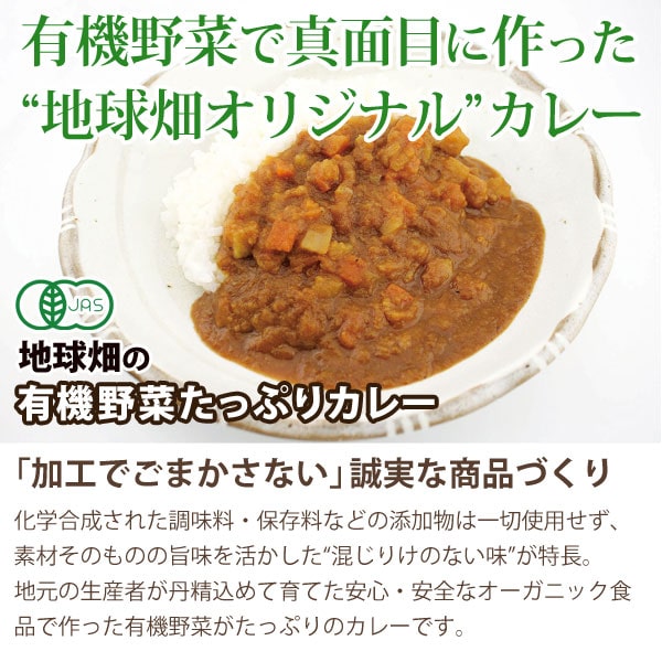 地球畑の有機野菜たっぷりカレー