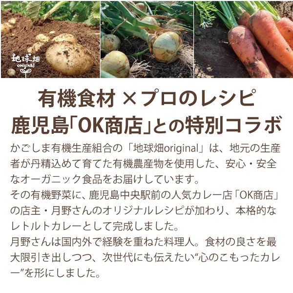 大セール！希少 大　オーガニックカレーリーフ 4年 地球畑の有機野菜たっぷりカレー
