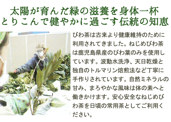 太陽が育んだ緑の滋養を身体一杯に取り込む