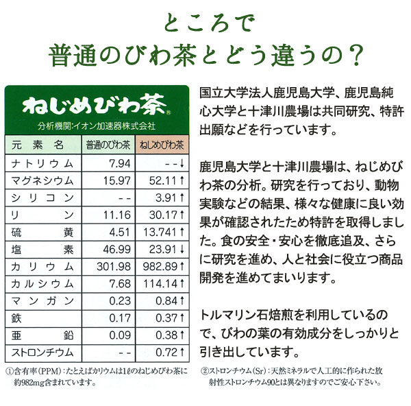 普通の枇杷の茶との違い