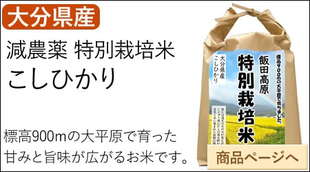 石崎 こしひかり