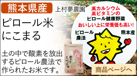 熊本県産 ピロール米 玄米 にこまる