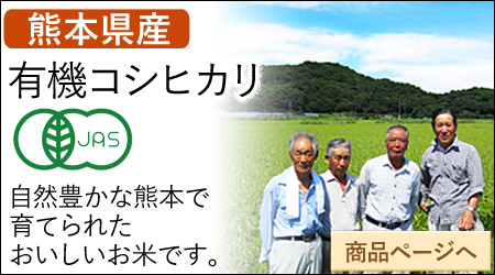 熊本県産 コシヒカリ