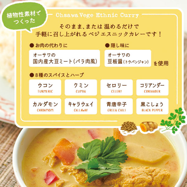 植物性素材で作ったカレー