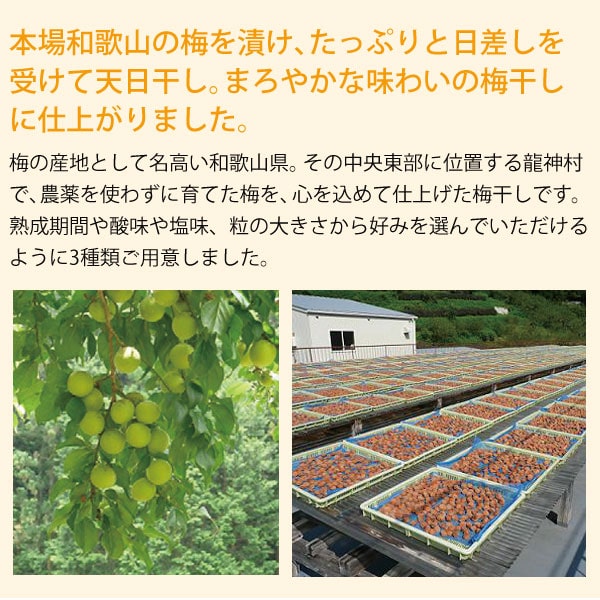 本場和歌山の梅を漬け、たっぷりと日差しを受けて天日干し。まろやかな味わいの梅干しに仕上がりました。