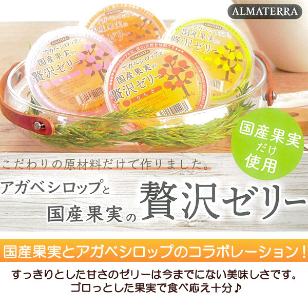 夏季限定】アガベシロップと国産果実の贅沢ゼリー りんご（145g