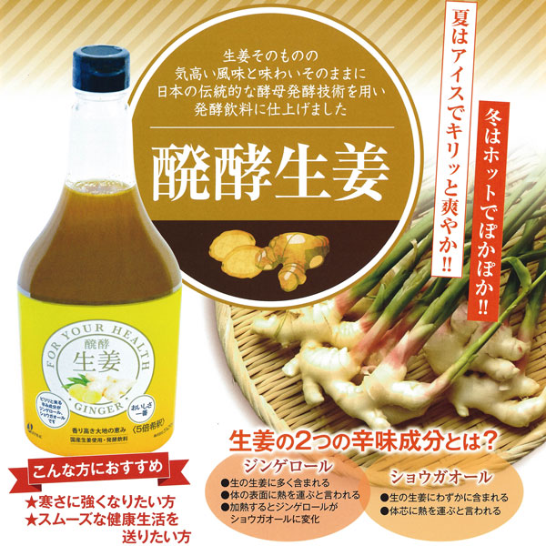 発酵生姜