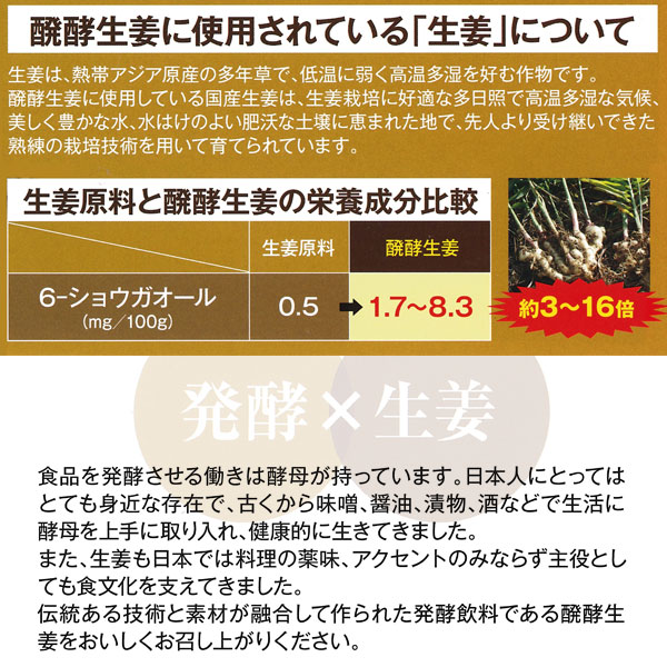 醗酵生姜