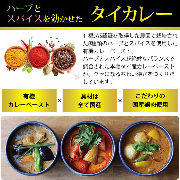 タイ・ベジタブルカレー　３つのポイント！