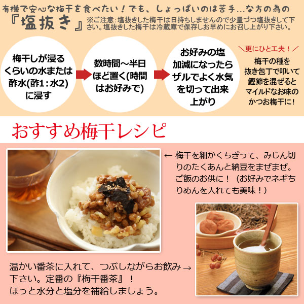 定番の梅干番茶などおすすめ梅干レシピ