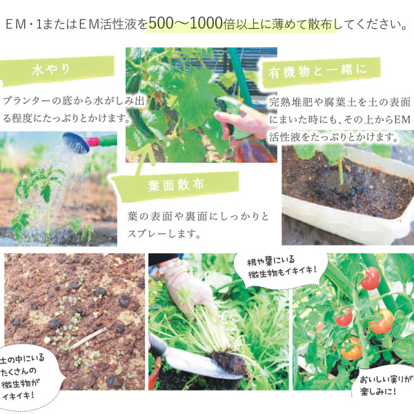 自分で増やして使えるＥＭ家庭菜園の基本資材