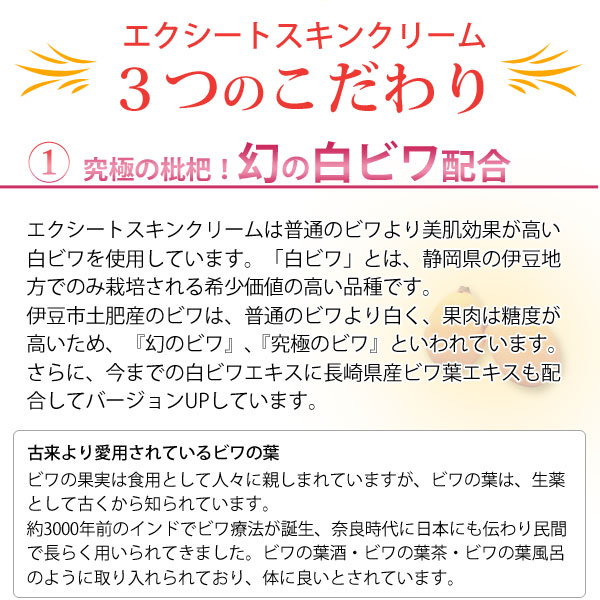 エクシートスキンクリーム 70g 4個セット エクシート ビワ 枇杷 びわ クリーム エキス 痛み シミ