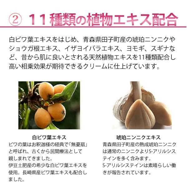 エクシートスキンクリーム 70g 4個セット エクシート ビワ 枇杷 びわ クリーム エキス 痛み シミ