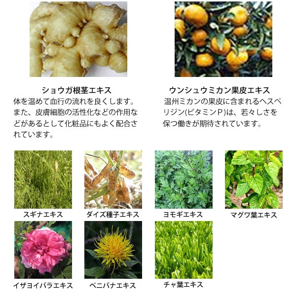 エクシートスキンクリーム 70g 4個セット エクシート ビワ 枇杷 びわ クリーム エキス 痛み シミ