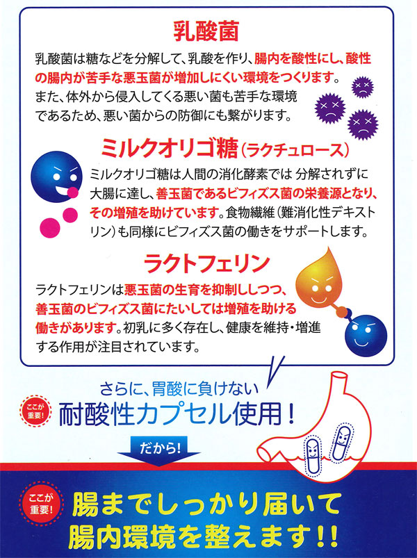 理想的な腸内バランスをキープしましょう