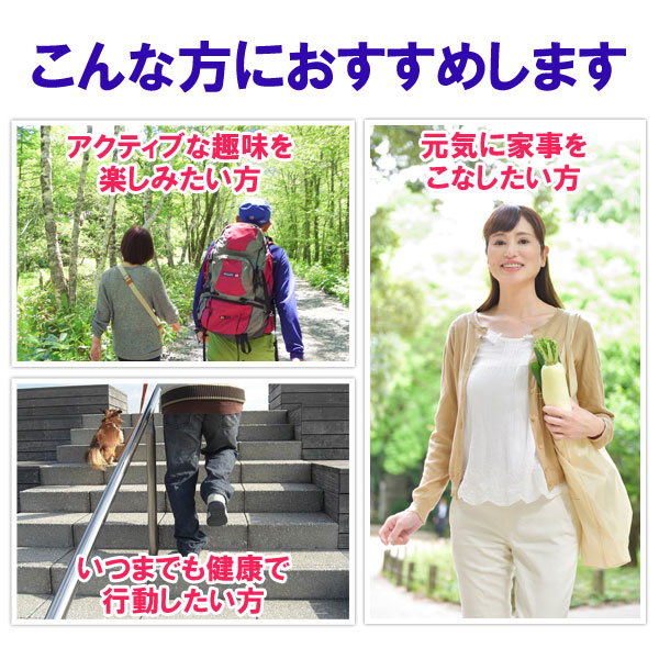 MSM筋骨草プラスはアクティブな趣味を楽しみたい方、いつまでも健康で行動したい方、元気に家事をこなしたい方にオススメです