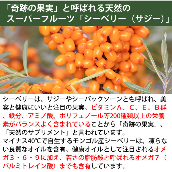 奇跡の果実、天然のサプリメントと言われるシーベリー（サジー）