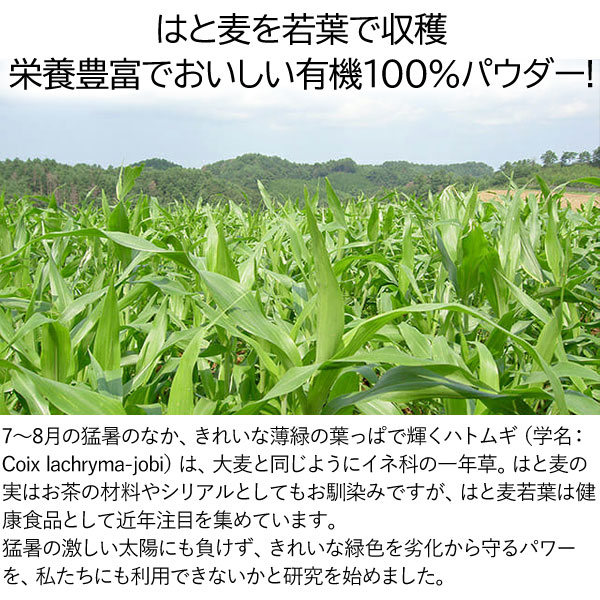 栄養豊富