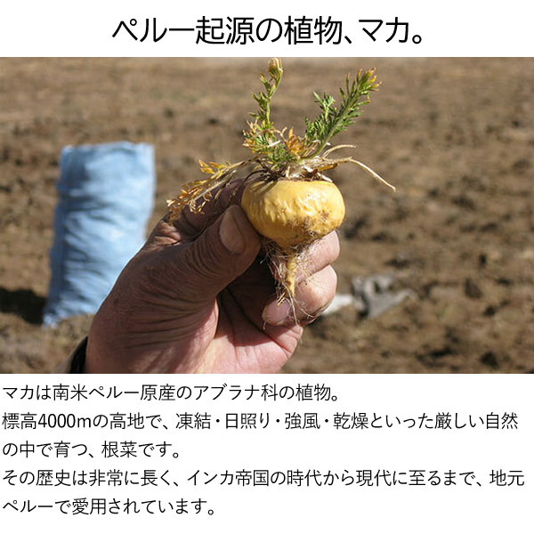 さっと使える有機マカパウダー
