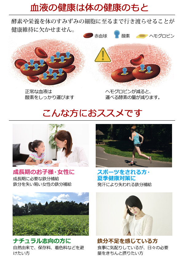 血液の健康は体の健康のもと!