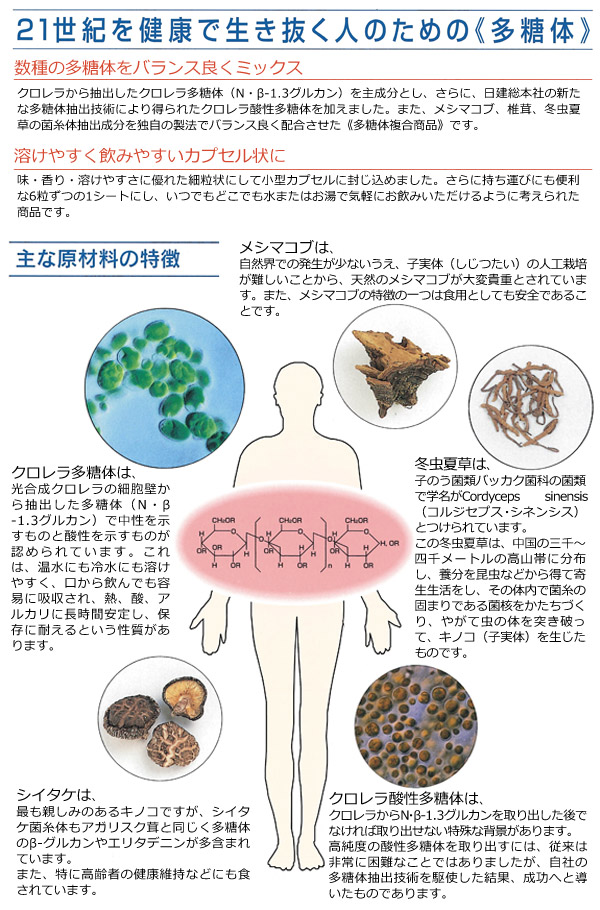 クロスタニンエバヤング 5g 10本 日健総本社
