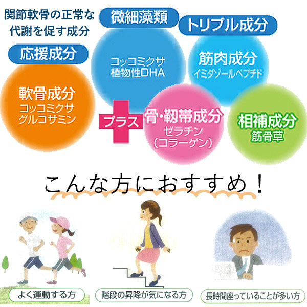クロスタニン ひざガード（540粒（54シート））機能性表示食品【日健総 