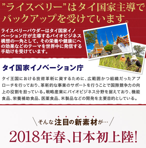 ライスベリー